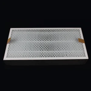 Secondary (HEPA) Filter for G030FE